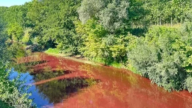 Mudurnu Çayı kıpkırmızı oldu